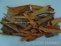 Broken cassia