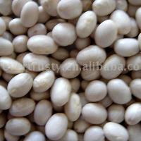 LIGHT SPECKLED KIDNEY BEANS SMALL ROUND SHAPE