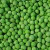 iqf green pea