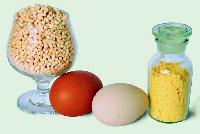 Egg Yolk  Lecithin 