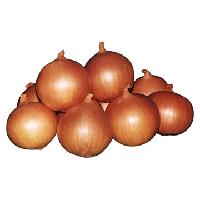 Onion