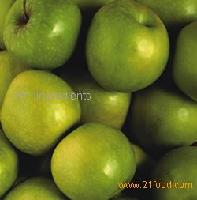 OxyPhyte  Natural  Antioxidants
