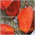 Talin Flavor Modifier / Sweetness Enhancer