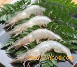 Fresh Frozen Shrimp
