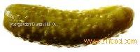gherkins