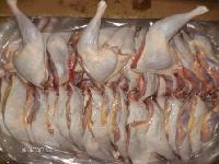  Frozen  Hen Leg Quarter
