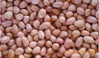 Peanut Kernels