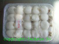  Whole   cleaned   cuttlefish 