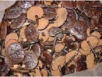 wild ganoderma lucidum