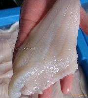  channel   catfish   fillet 