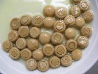 canned mushroom