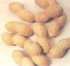 Peanut In Shell