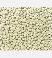 Blanched Peanut Kernels