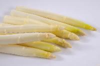 canned white asparagus