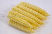 Canned baby corn