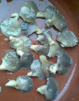 whole oyster mushroom in brine