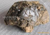 Crude propolis