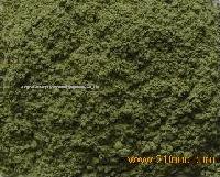 Dehydrated Celery Powder