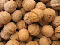 We can supply all kind of  walnuts 