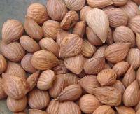 Almond kernel