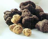 truffle