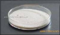 Oat beta glucan, oat extract, beta glucan