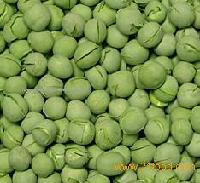 Dehydrated  Fruit s and  Vegetable s