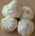 garlic ,onion