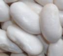 WHITE KIDNEY BEANS(wmz_wmz2002@163.com)
