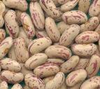 Light speckled kidney beans