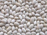 JAPAN WHITE KIDNEY BEANS