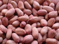 LONG PEANUT KERNEL (LONG)