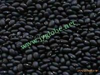 SMALL BLACK BEANS