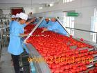 Tomato3