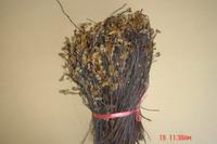 Dehydrated Bracken