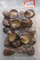Dried Log wintry mushroom