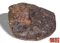 Bee Propolis