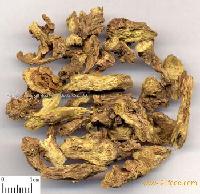  RADIX   SCUTELLARIAE 