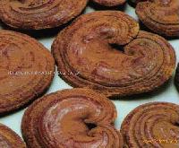 Ganoderma Lucidum