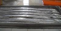 FROZEN RIBBONFISH