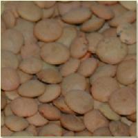 Red Lentils