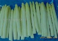 Asparagus White-spear