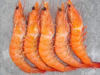 Seabass,tilapia,squid,hake,mackerel,monkfish,catfish,eel,cod...