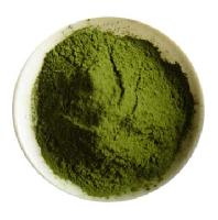Barley grass powder