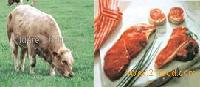 beef meat