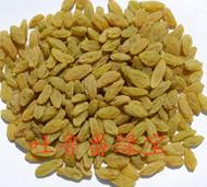 Green Raisins
