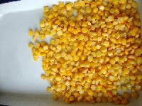 Canned sweet corn kernel