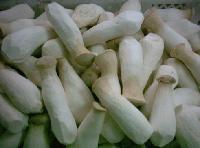 Fresh mushroom Eryngii