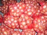 Fresh shallot onion
