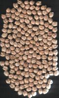 KABULI (SPANIOLA) CHICKPEAS